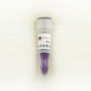 Beyotime P0068，碧云天 彩色预染蛋白质分子量标准，200μl， -20℃保存，有效期：1年