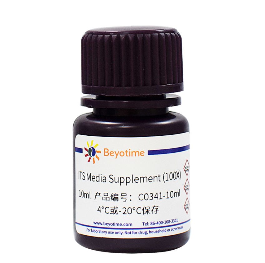 碧云天.C0341-10ml	ITS 培养基添加剂 (100X)	10ml