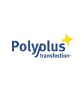 Polyplus Transfection