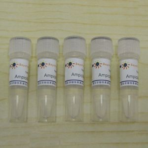 碧云天.ST008  Ampicillin (100mg/ml,1000X)  5ml  ( 1ml×5 ) 