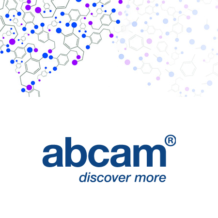 abcam	ab50279	Anti-Nucleolin antibody 	100ug