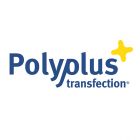 Polyplus Transfection.PT-114-07	jetPRIME kit 	0.75 ml of transfection reagent + 60 ml of jetPRIME buffer