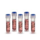 Irvine Scientific	90101	Hyaluronidase Solution	5 x 1 mL