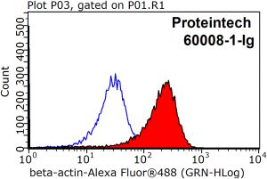 Proteintech 60008-1-Ig，beta Actin Monoclonal Anbody;Proteintech.60008-1-Ig;Tested applicaons: ELISA, WB, IF, FC, IHC ;