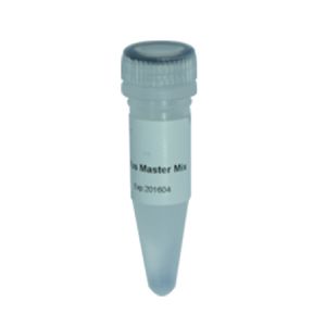 Vazyme	P212-01	2 × Taq Plus Master Mix (Dye Plus)	5 ml