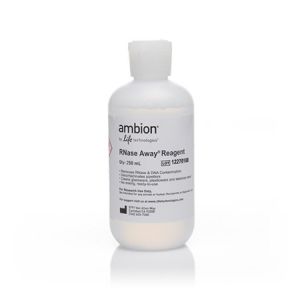 Invitrogen	10328011	rnase  away     250 mL