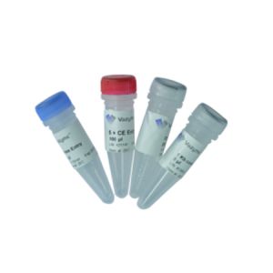 Vazyme C113-02，ClonExpress MultiS One Step Cloning Kit，规格：25 rxns，保存：-20℃