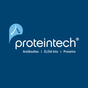 proteintech.21773-1-AP	ZO-1 Polyclonal Antibody	100ul