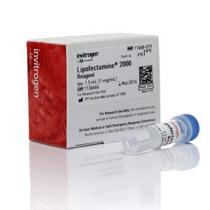 Invitrogen 11668019，Lipofectamine® 2000 Transfection Reagent，Life 11668-019，1.5ml，4°C保存