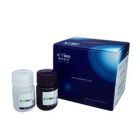 康为世纪	CW2011S	微量BCA蛋白定量试剂盒 Micro BCA Protein Assay Kit	1600次/微孔