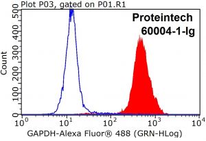 Proteintech 60004-1-Ig，GAPDH Monoclonal Anbody ; Proteintech.60004-1-Ig ; Tested applicaons: ELISA, WB, IF, FC, IP, IHC ;