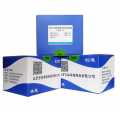 百奥莱博	ZN1832	SABC-POD免疫组化染色试剂盒(大鼠源一抗)	80T