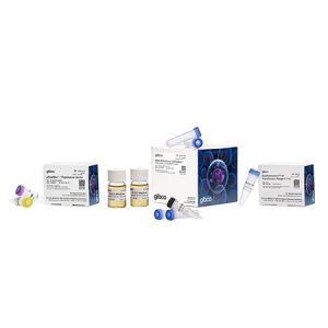 Invitrogen.10359016   Bac-to-Bac™ Baculovirus Expression System  1 kit