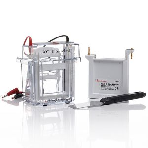 thermo.EI0002 	XCell SureLock™ Mini-Cell and XCell II™ Blot Module	1 unit